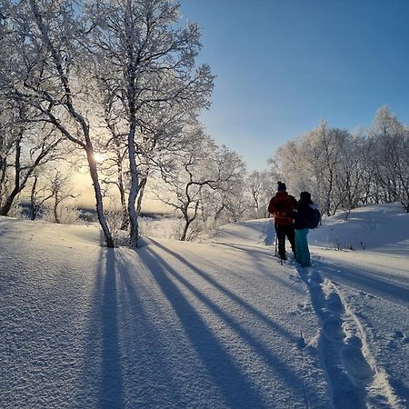 Ringstad Resort Bo (Nordland) ภายนอก รูปภาพ