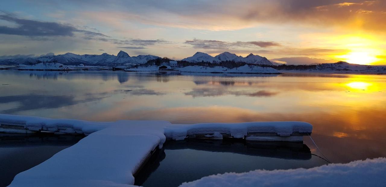 Ringstad Resort Bo (Nordland) ภายนอก รูปภาพ