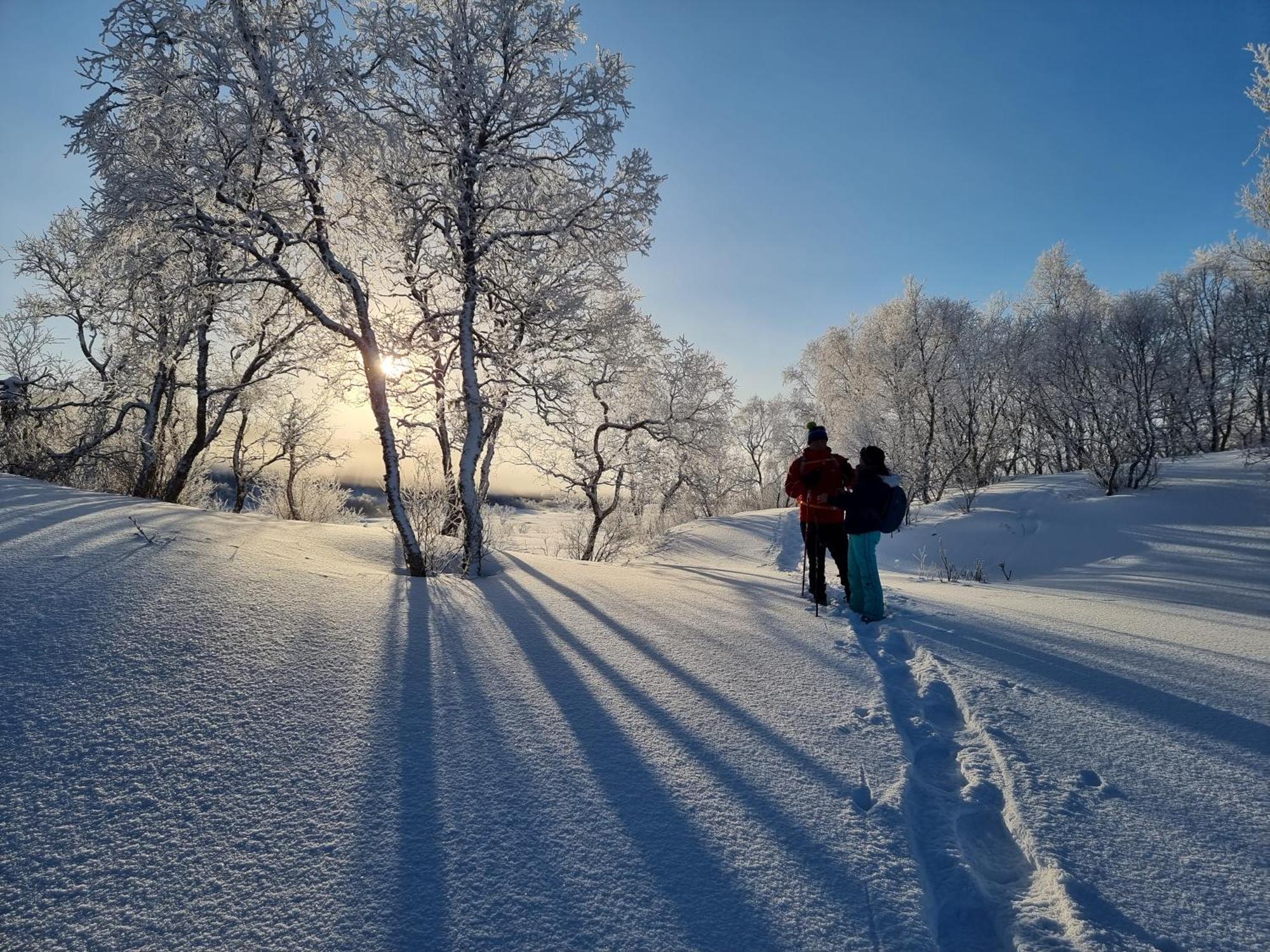 Ringstad Resort Bo (Nordland) ภายนอก รูปภาพ